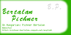 bertalan pichner business card